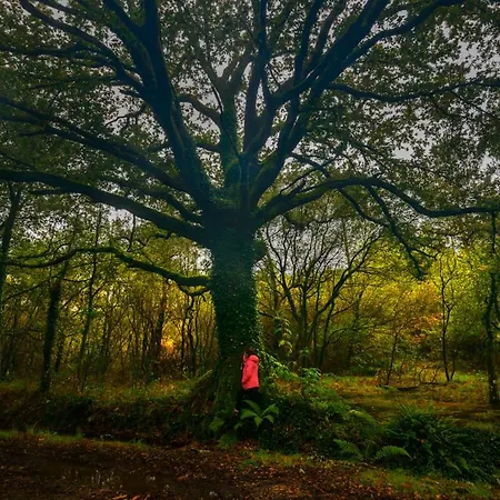 A Casa Do Avo Andres * Dumbría