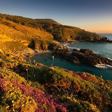 A Casa Do Avo Andres *