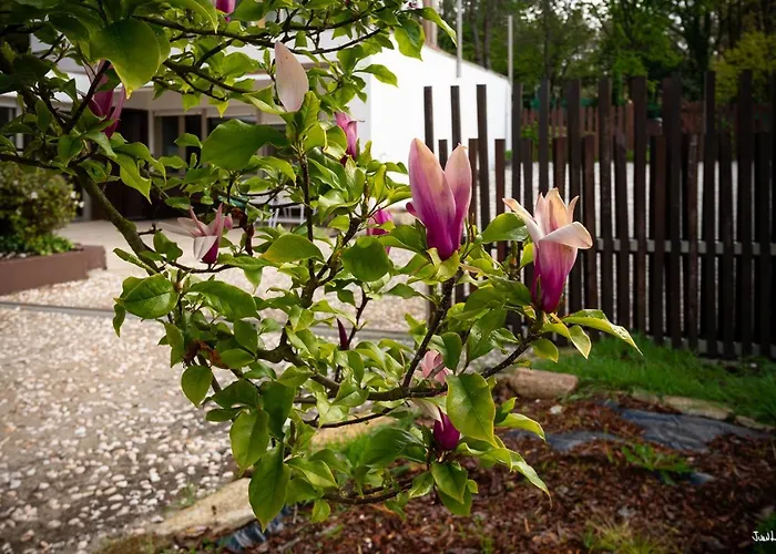 A Casa Do Avo Andres *