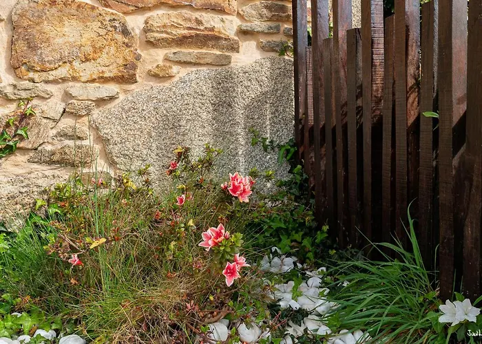 Tatil Evi A Casa Do Avo Andres Dumbría