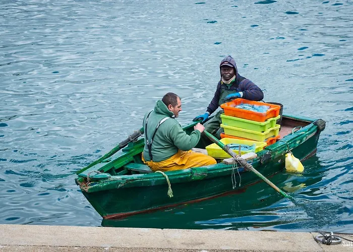 A Casa Do Avo Andres *